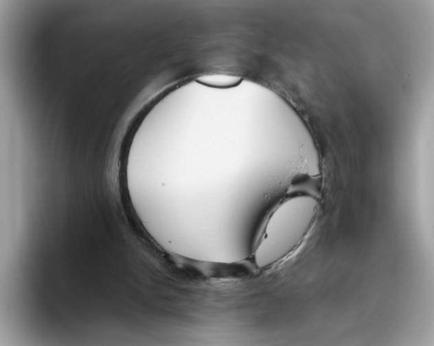 X0000093450150200711091519