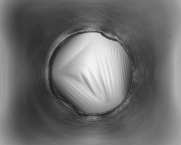 X0000093450152200711091519