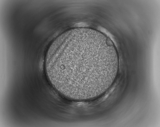 X0000093450153200711091519