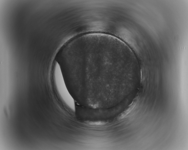 X0000093450156200711091519