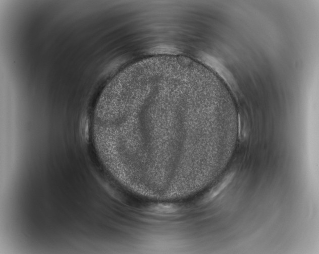 X0000093450157200711091519