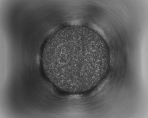 X0000093450161200711091519