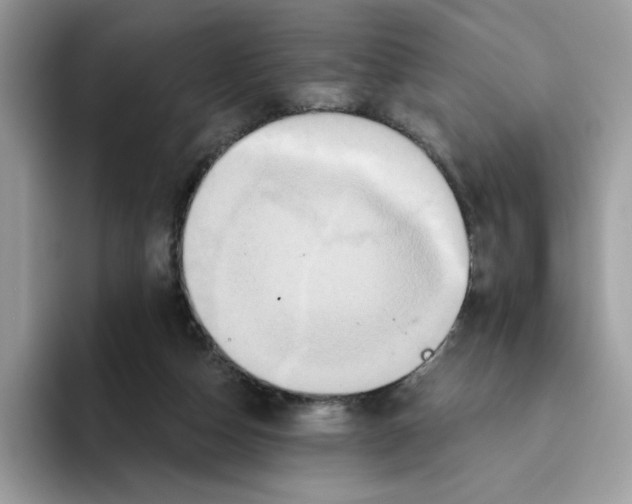 X0000093450162200711091519