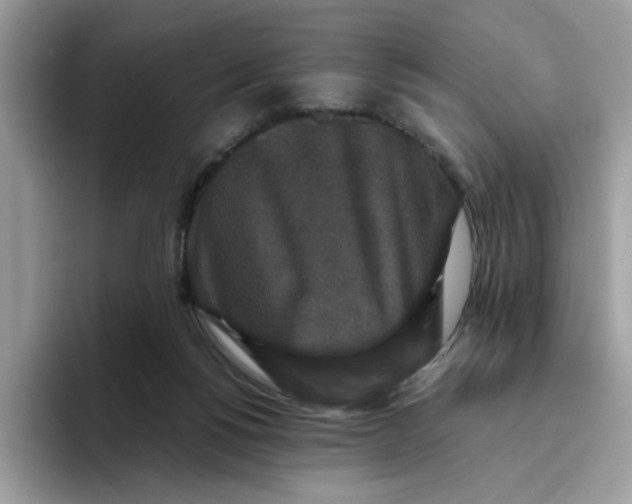 X0000093450168200711091519