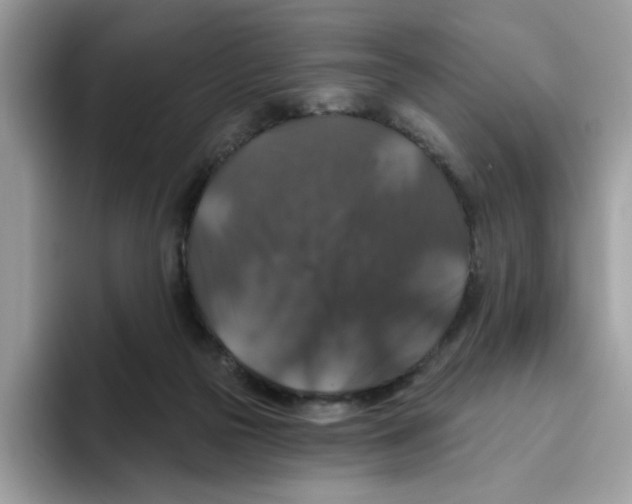 X0000093450169200711091519