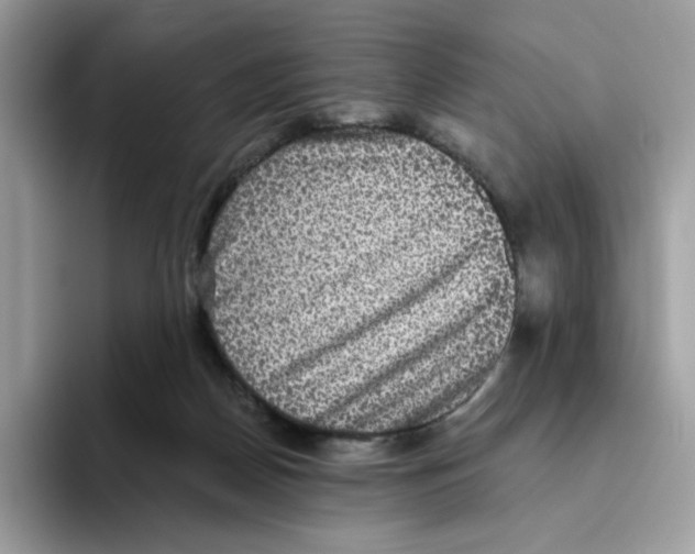 X0000093450170200711091519