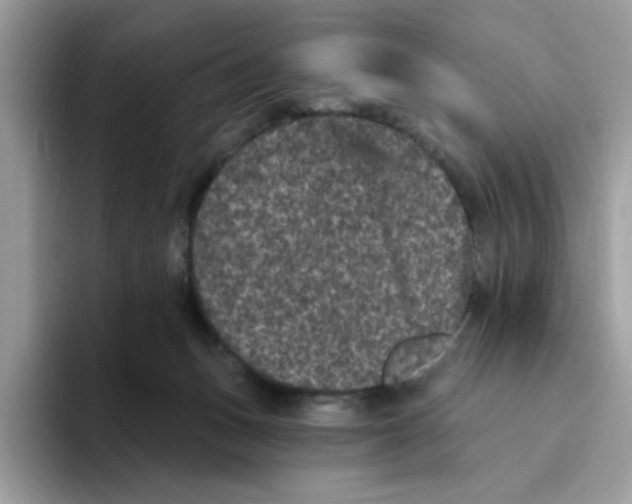 X0000093450175200711091519