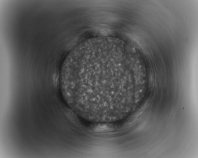 X0000093450177200711091519