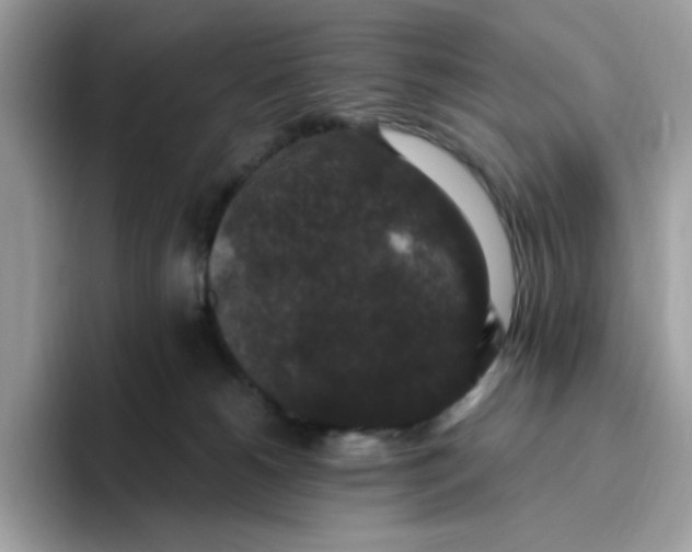 X0000093450180200711091519