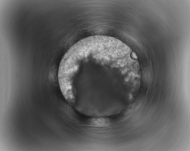 X0000093450181200711091519