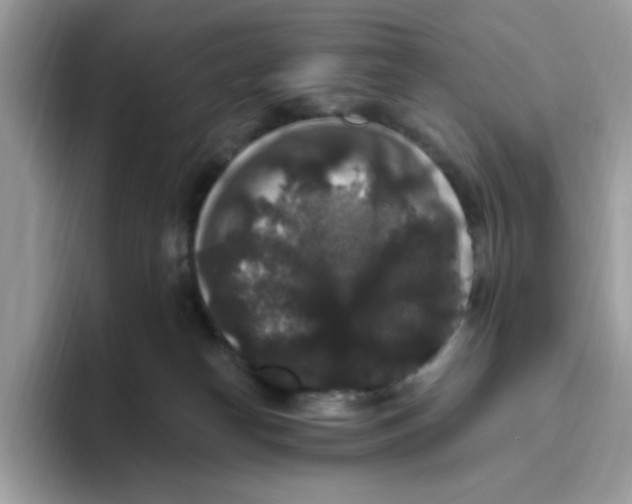 X0000093450182200711091519