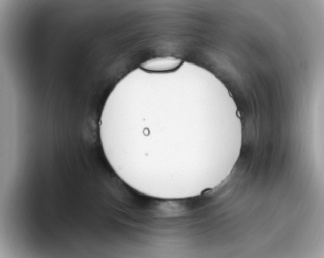 X0000093450183200711091519