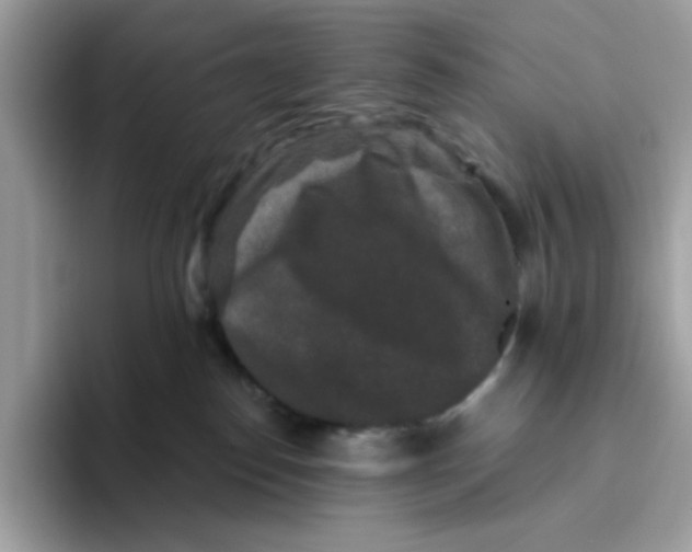 X0000093450186200711091519