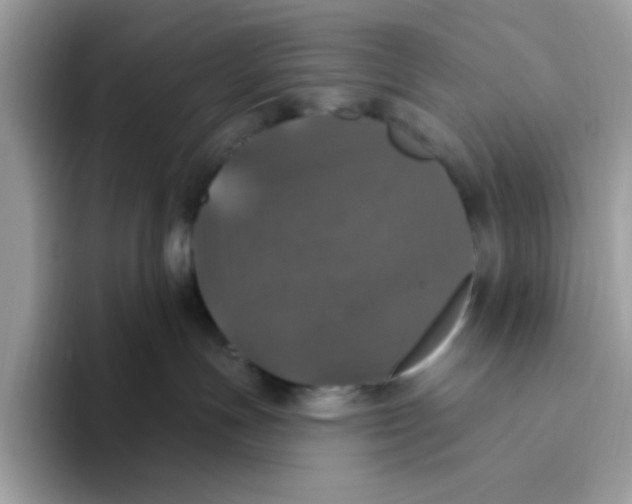 X0000093450191200711091519