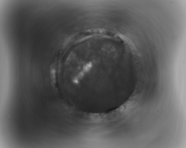 X0000093450192200711091519