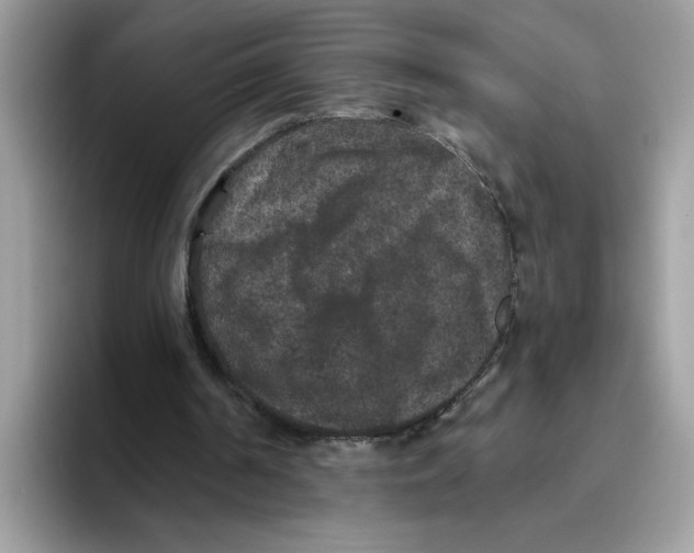 X0000093450194200711091518