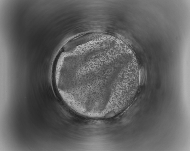 X0000093450195200711091518