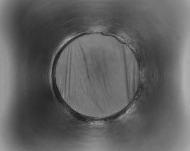 X0000093450196200711091518