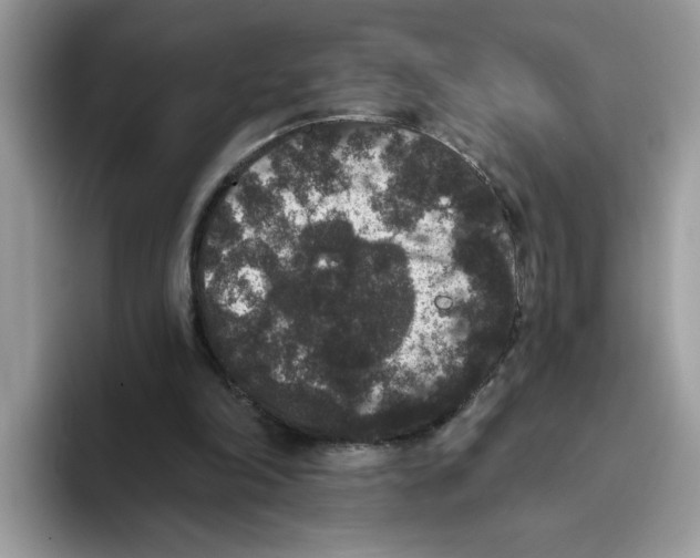 X0000093450198200711091518