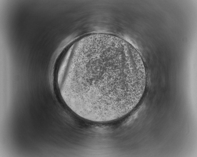 X0000093450199200711091518