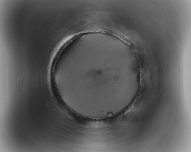 X0000093450200200711091518