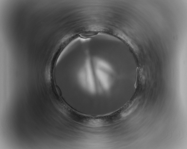 X0000093450203200711091518