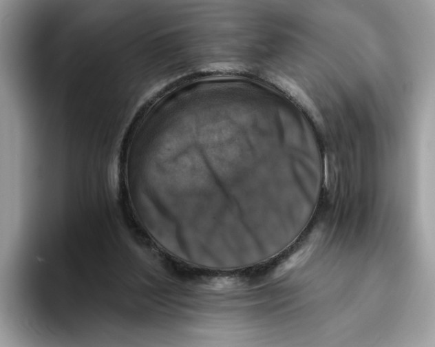 X0000093450204200711091518