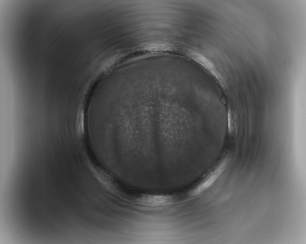 X0000093450205200711091518