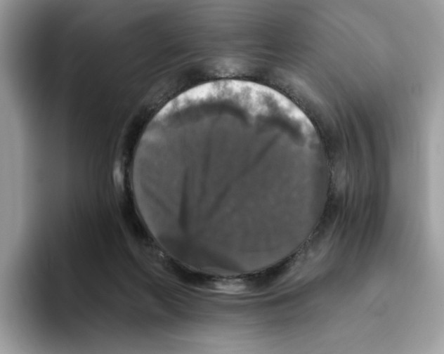 X0000093450214200711091518