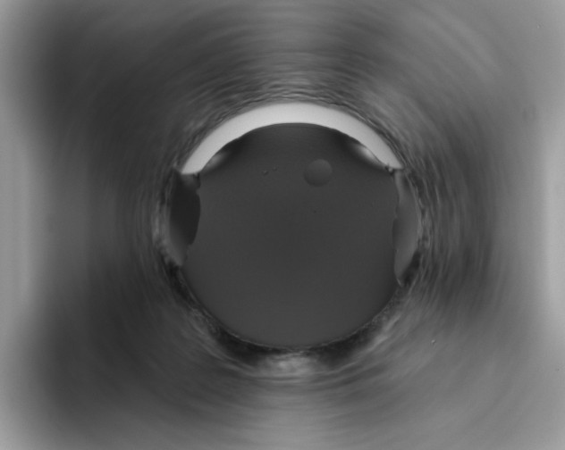 X0000093450219200711091518