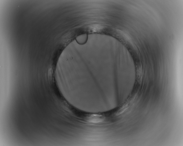 X0000093450222200711091518