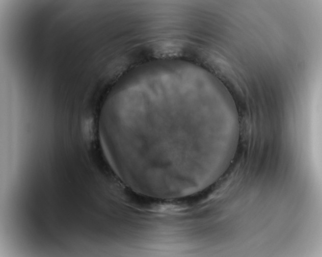 X0000093450224200711091518