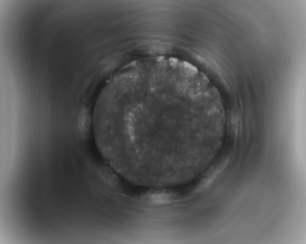 X0000093450228200711091518