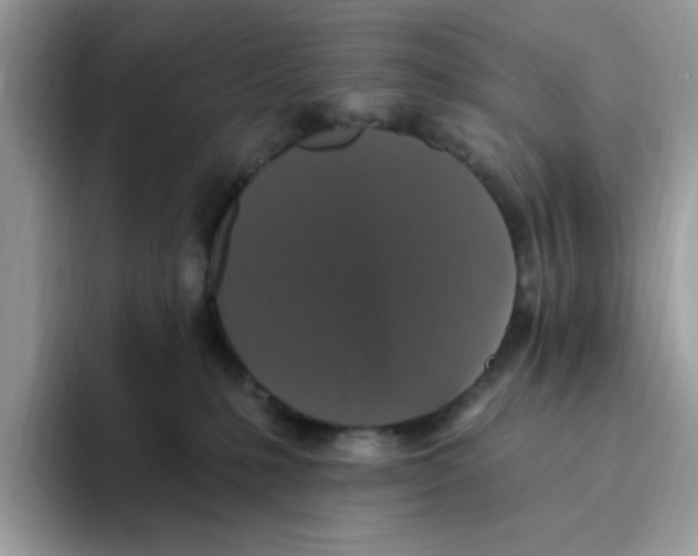 X0000093450231200711091518