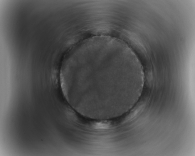 X0000093450232200711091518