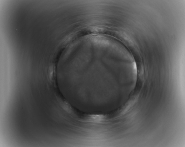 X0000093450233200711091518