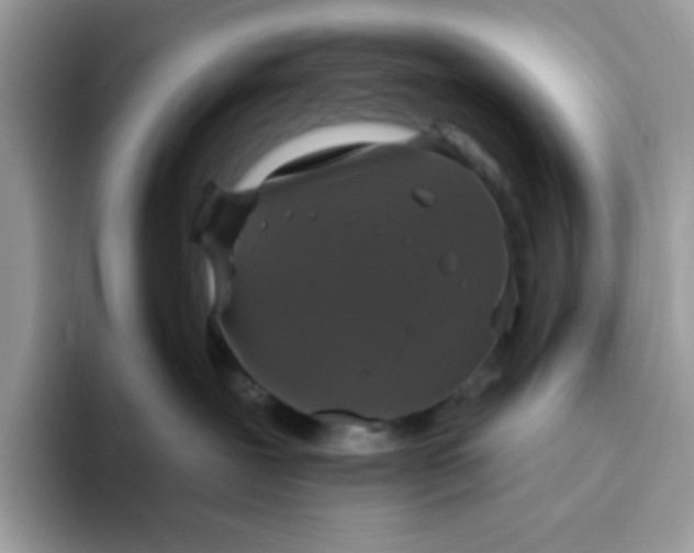 X0000093450239200711091518