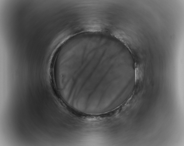 X0000093450243200711091517