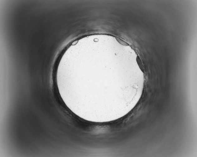 X0000093450248200711091517