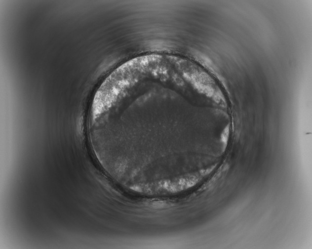 X0000093450249200711091517