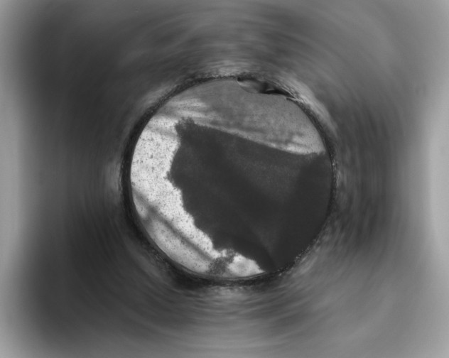 X0000093450250200711091518