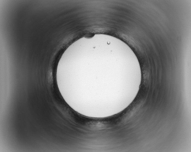 X0000093450254200711091518