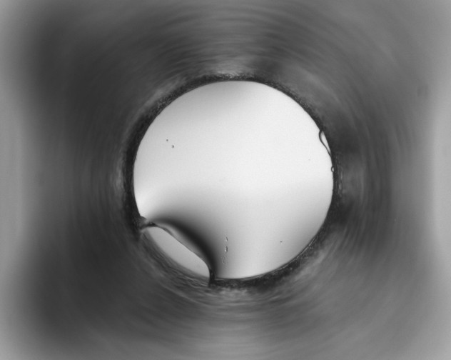 X0000093450256200711091518