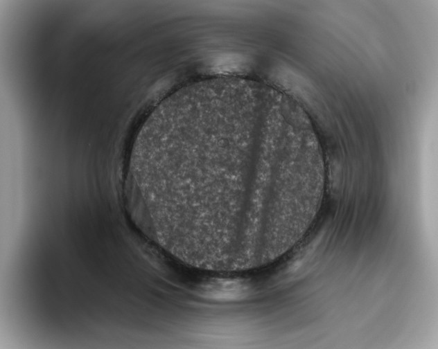 X0000093450260200711091518