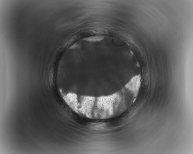 X0000093450266200711091518