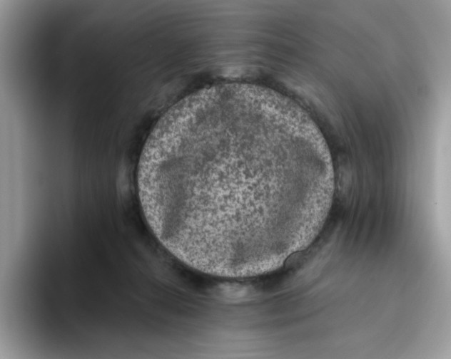 X0000093450272200711091518