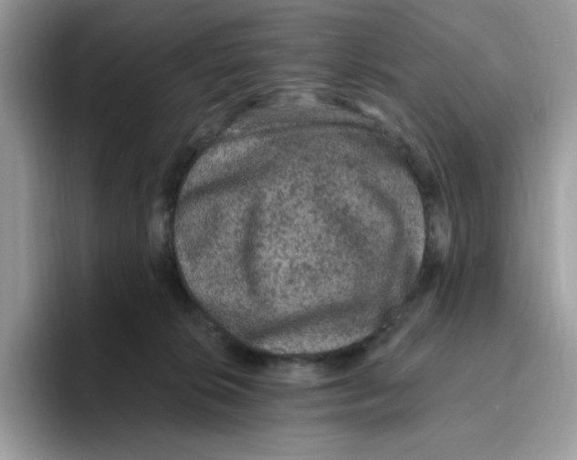 X0000093450276200711091518