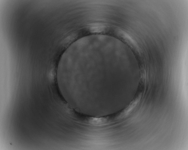 X0000093450277200711091518