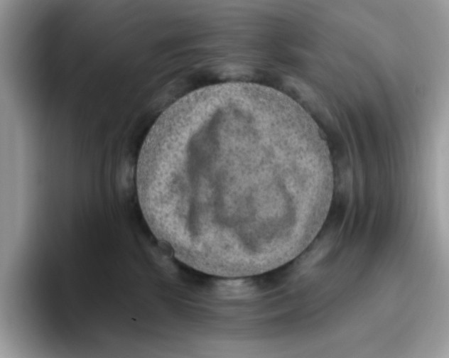 X0000093450281200711091518