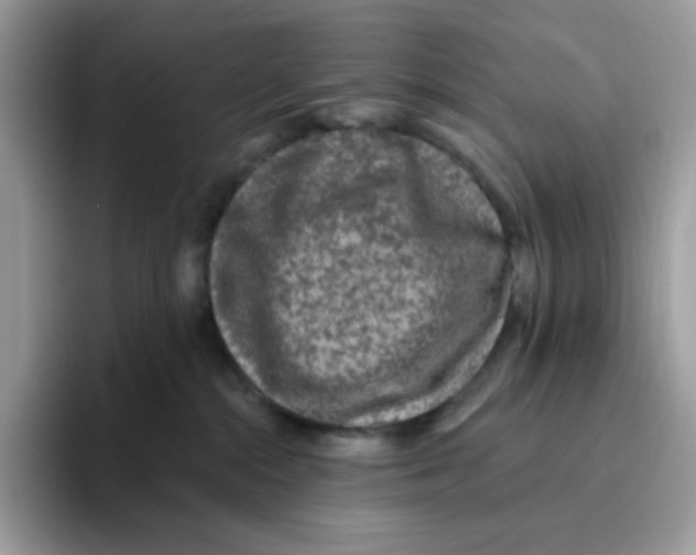 X0000093450284200711091518